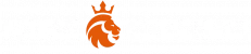 ninecasino logo